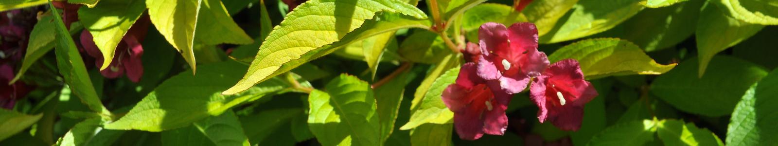 013-Terapia-par-i-malzenstw-Warszawa