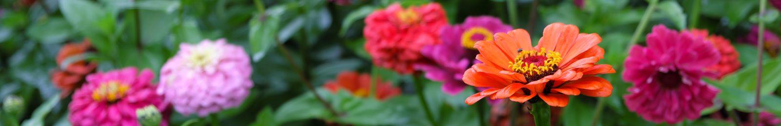 091-psycholog-dla-dzieci-i-mlodziezy