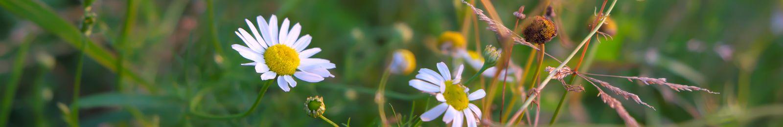 097-blog-psychologiczny-warszawa-ursynow