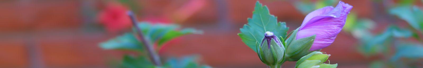 099-psycholog-dzieci-psychoterapeuta-warszawa