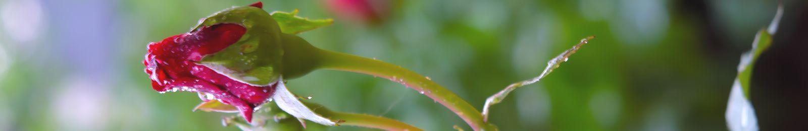 101-psychoterapia-warszawa