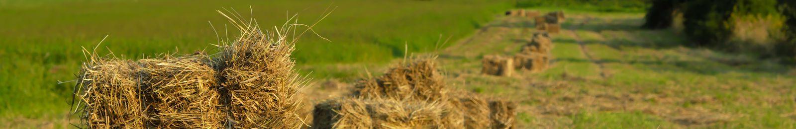 102-trening-asertywnosci-warszawa