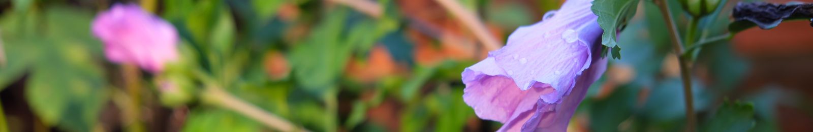 104-dobry-psycholog-warszawa