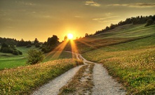 Psychiatra - psychoterapia