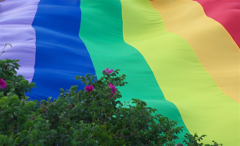 terapia par lgbt warszawa ursynow